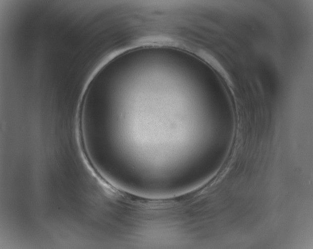 X0000070201440200605261214