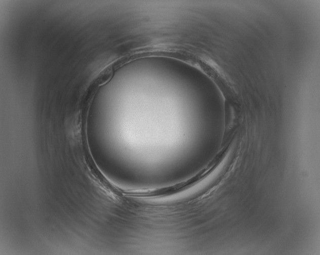 X0000070201450200605261214