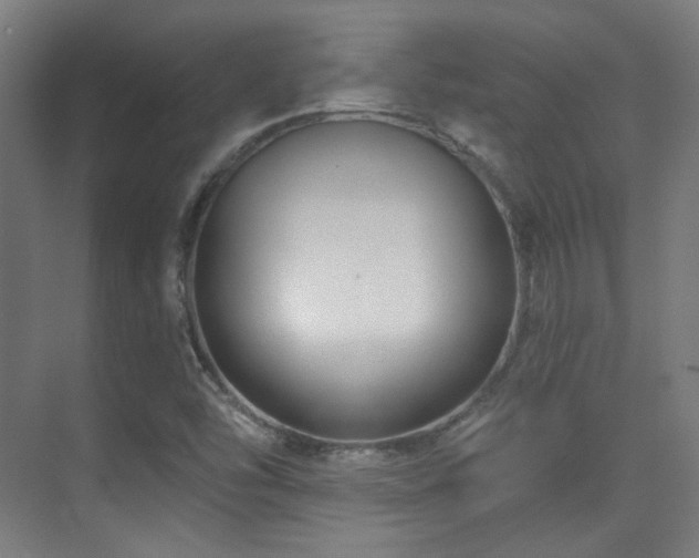 X0000070201454200605261213