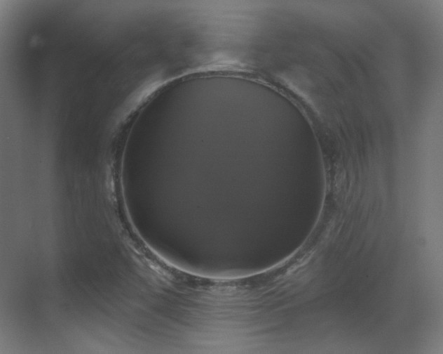X0000070201455200605261213