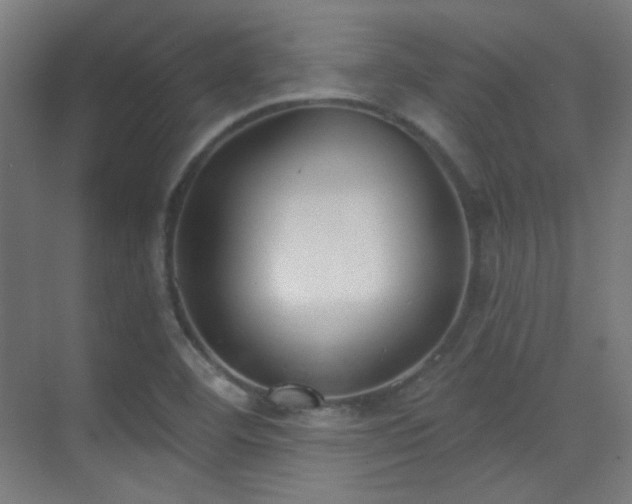 X0000070201460200605261213