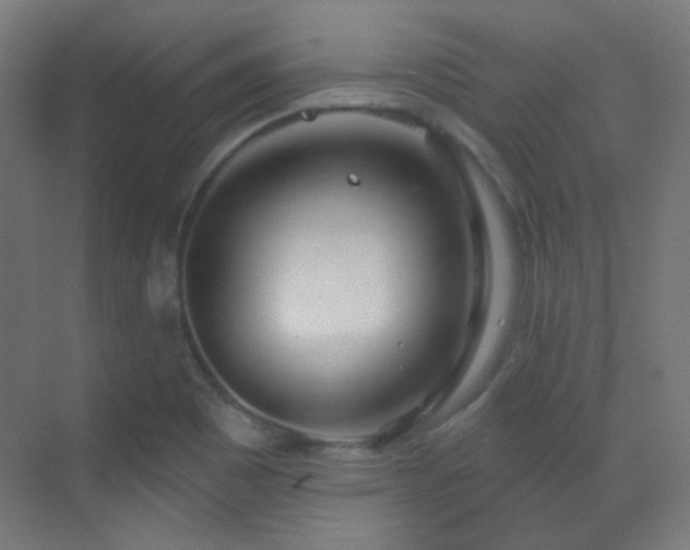 X0000070201465200605261213