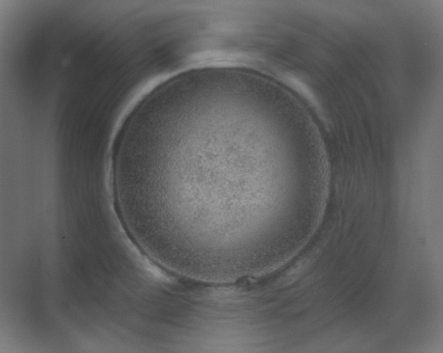 X0000070201472200605261213