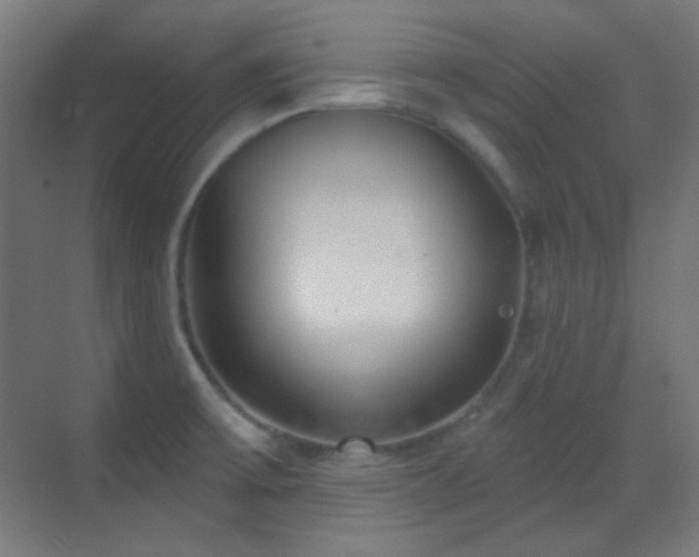X0000070201475200605261213