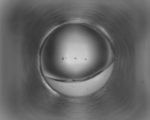 X0000070201476200605261213