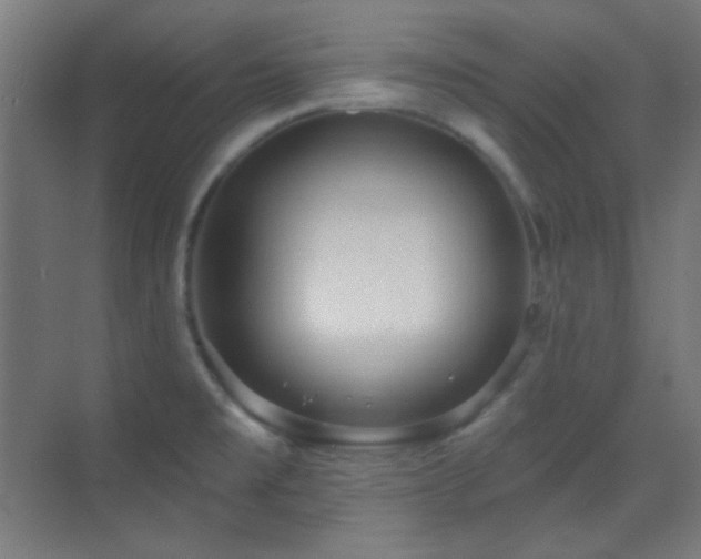 X0000070201477200605261213