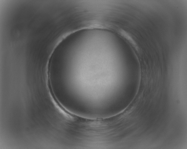 X0000070201479200605261213