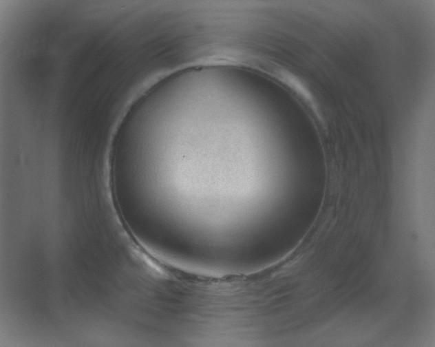 X0000070201480200605261213