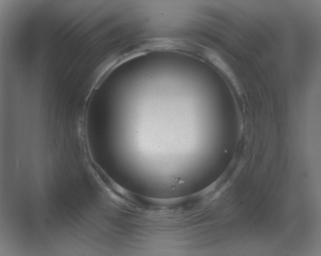 X0000070201481200605261213