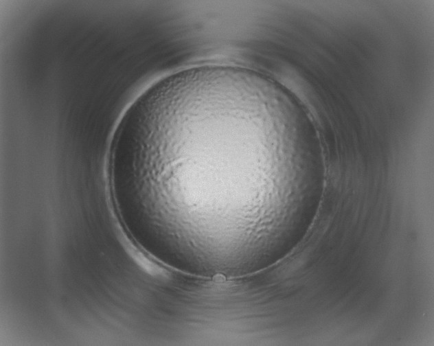X0000070201482200605261213
