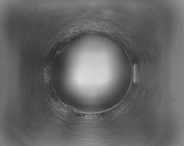 X0000070201491200605261212