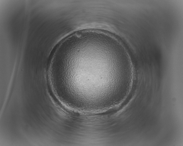 X0000070201505200605261212