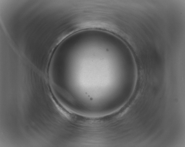 X0000070201521200605261213