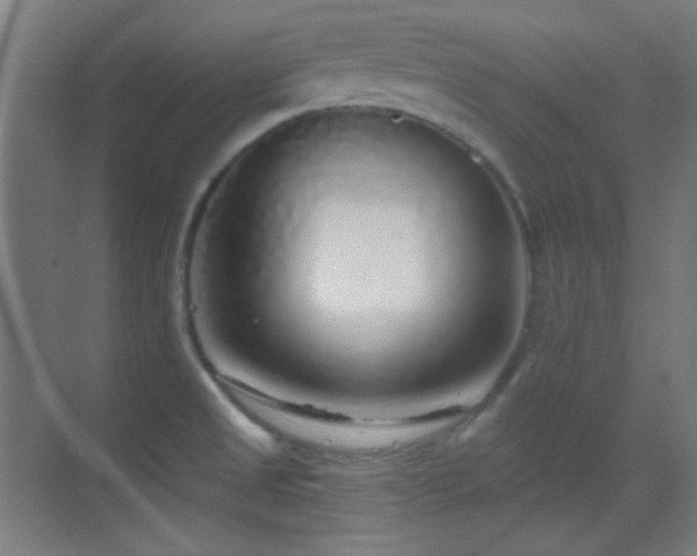 X0000070201525200605261213