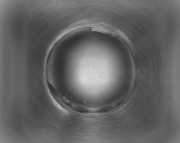 X0000070201528200605261213