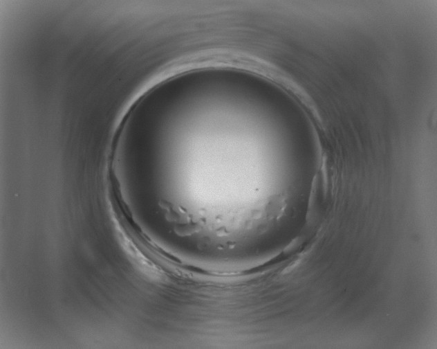 X0000070201530200605261213