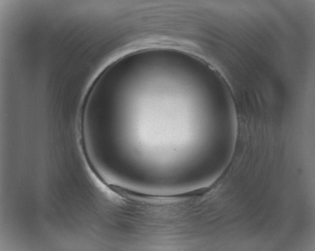 X0000070201531200605261213