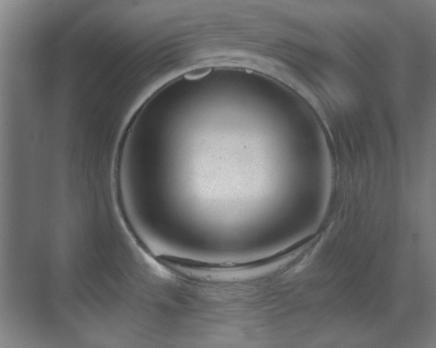 X0000070201533200605261213