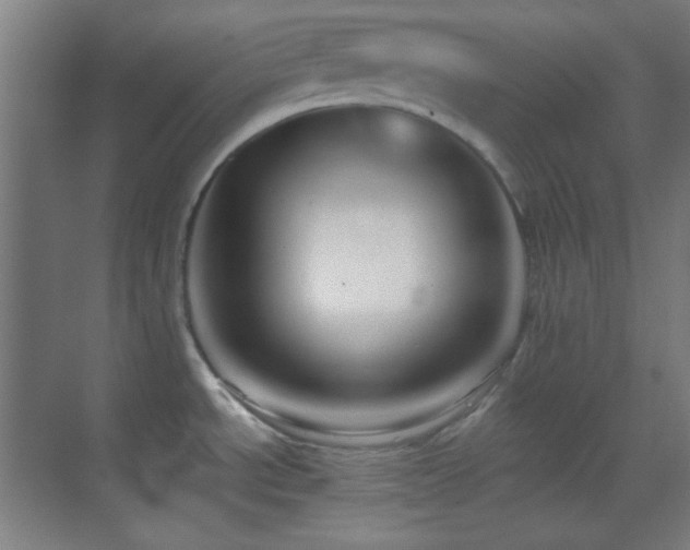 X0000070201534200605261213