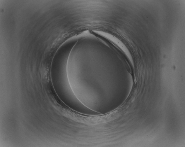 X0000070200031200605301348