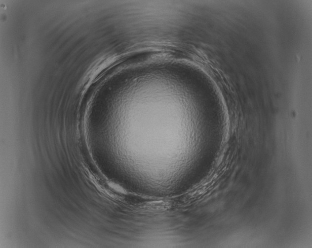 X0000070200050200605301347