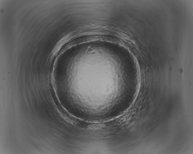 X0000070200051200605301347