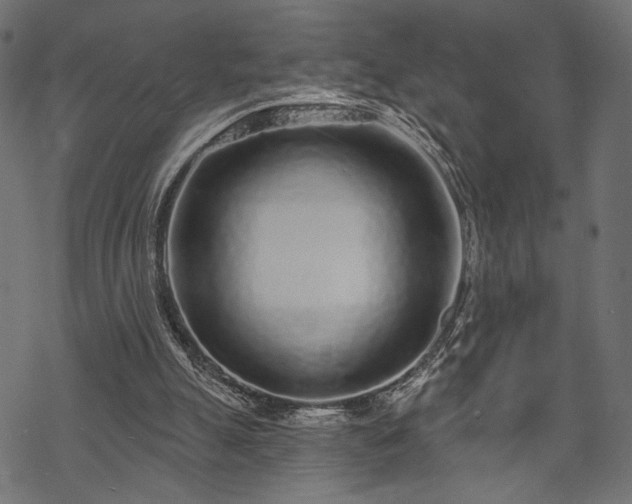 X0000070200055200605301348