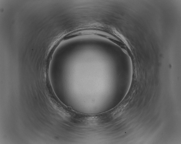 X0000070200059200605301348