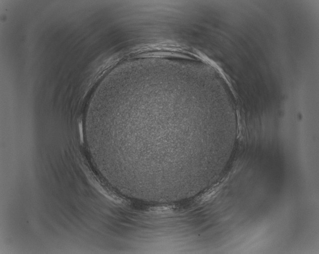 X0000070200061200605301348