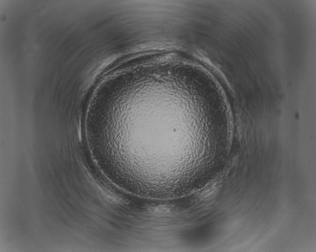 X0000070200062200605301348