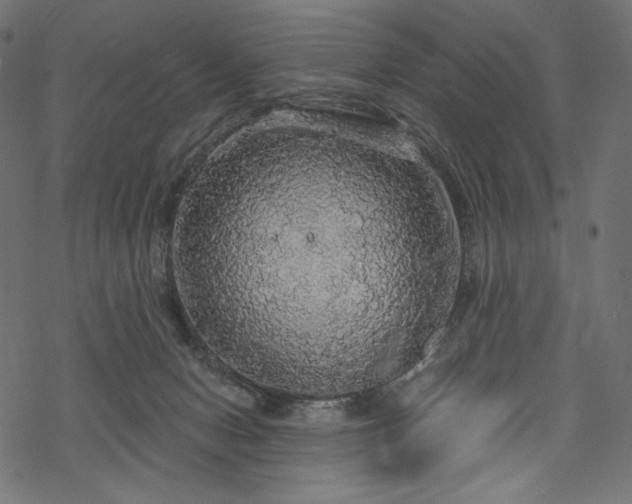 X0000070200078200605301348