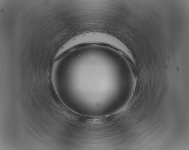 X0000070200082200605301348
