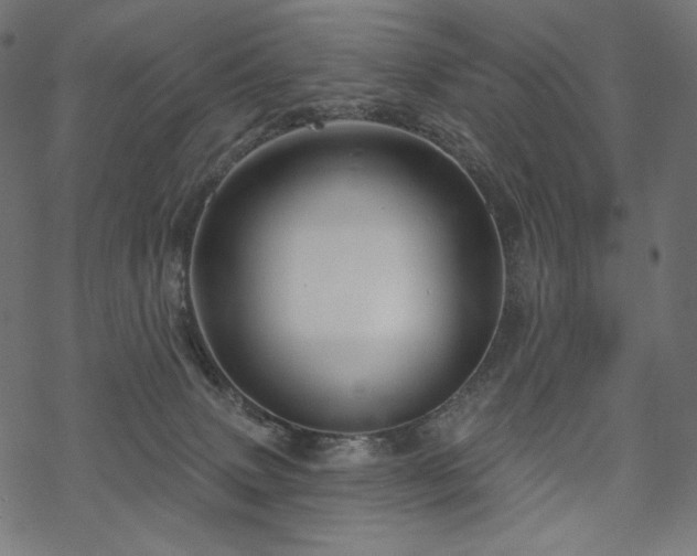 X0000070200083200605301348