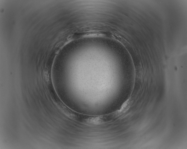 X0000070200086200605301348