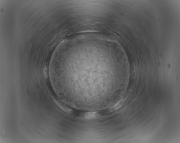X0000070200090200605301348