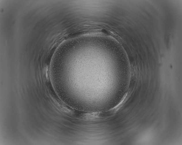 X0000070200094200605301348
