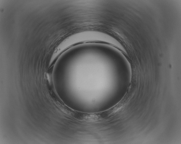 X0000070200125200605301347