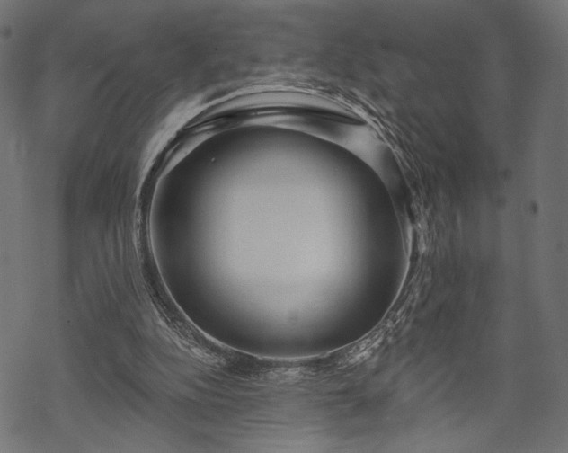 X0000070200152200605301346