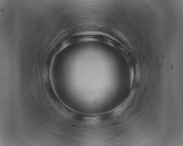 X0000070200170200605301346