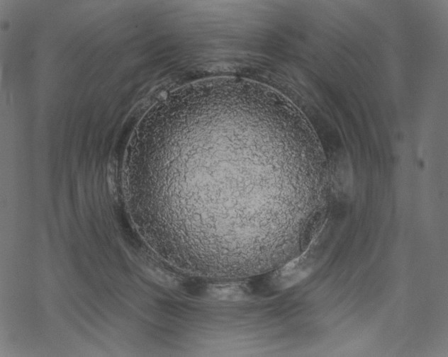 X0000070200175200605301346