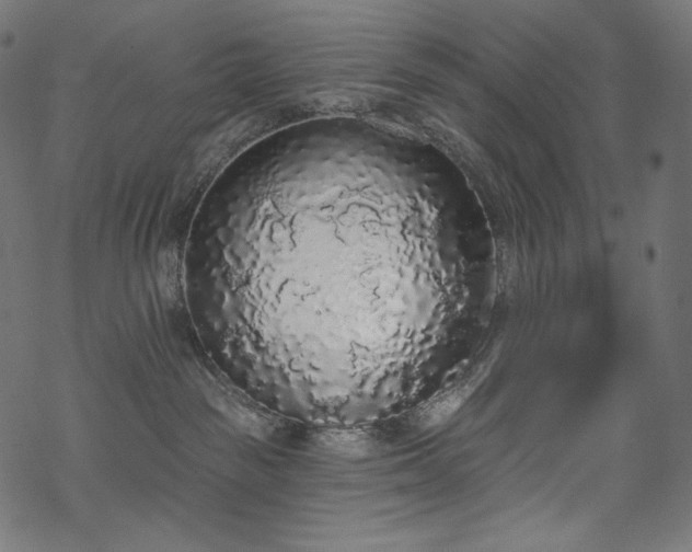 X0000070200189200605301347