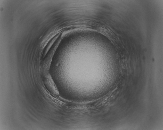 X0000070200194200605301346