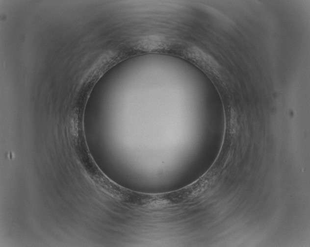 X0000070200210200605301346