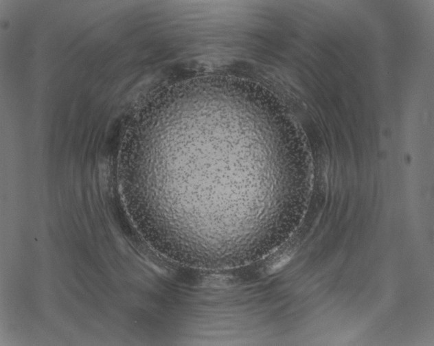 X0000070200222200605301345