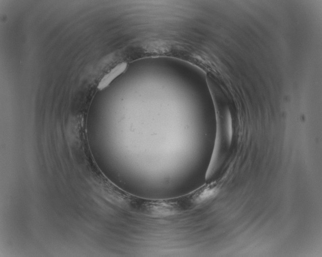 X0000070200229200605301345