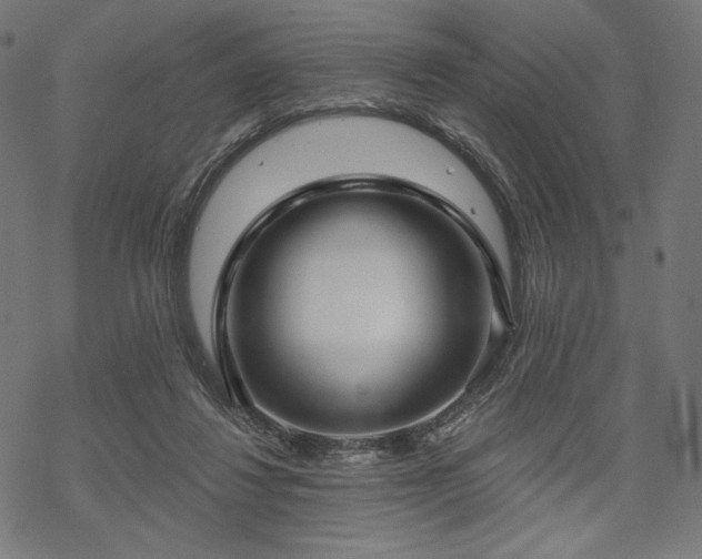 X0000070200260200605301345