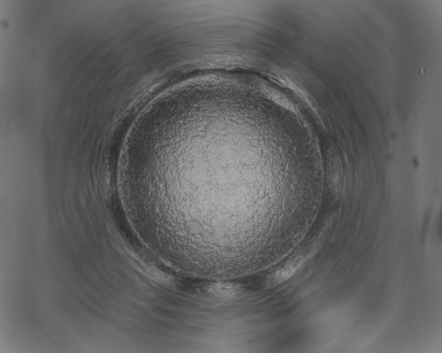 X0000070200261200605301345