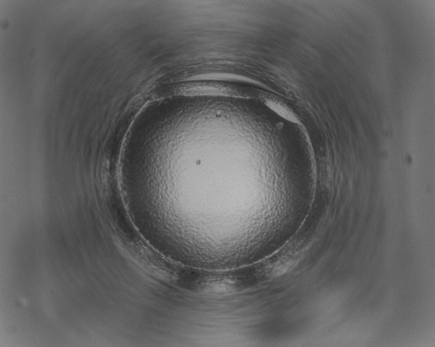 X0000070200263200605301345