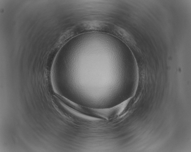 X0000070200265200605301345