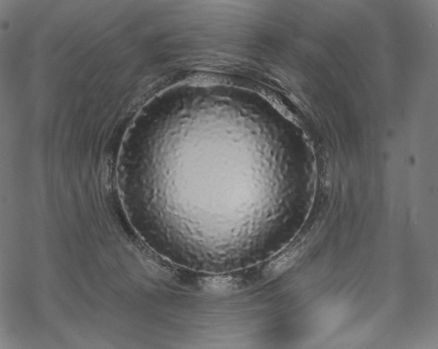 X0000070200273200605301345